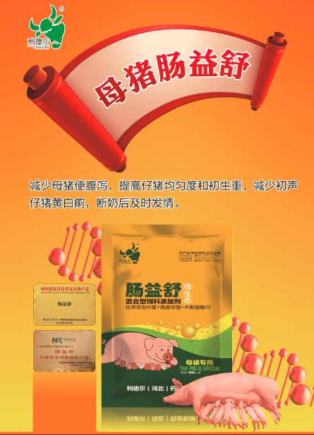 ĸ�i�c����